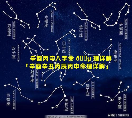 辛酉丙申八字命 🐵 理详解「辛酉辛丑丙辰丙申命理详解」